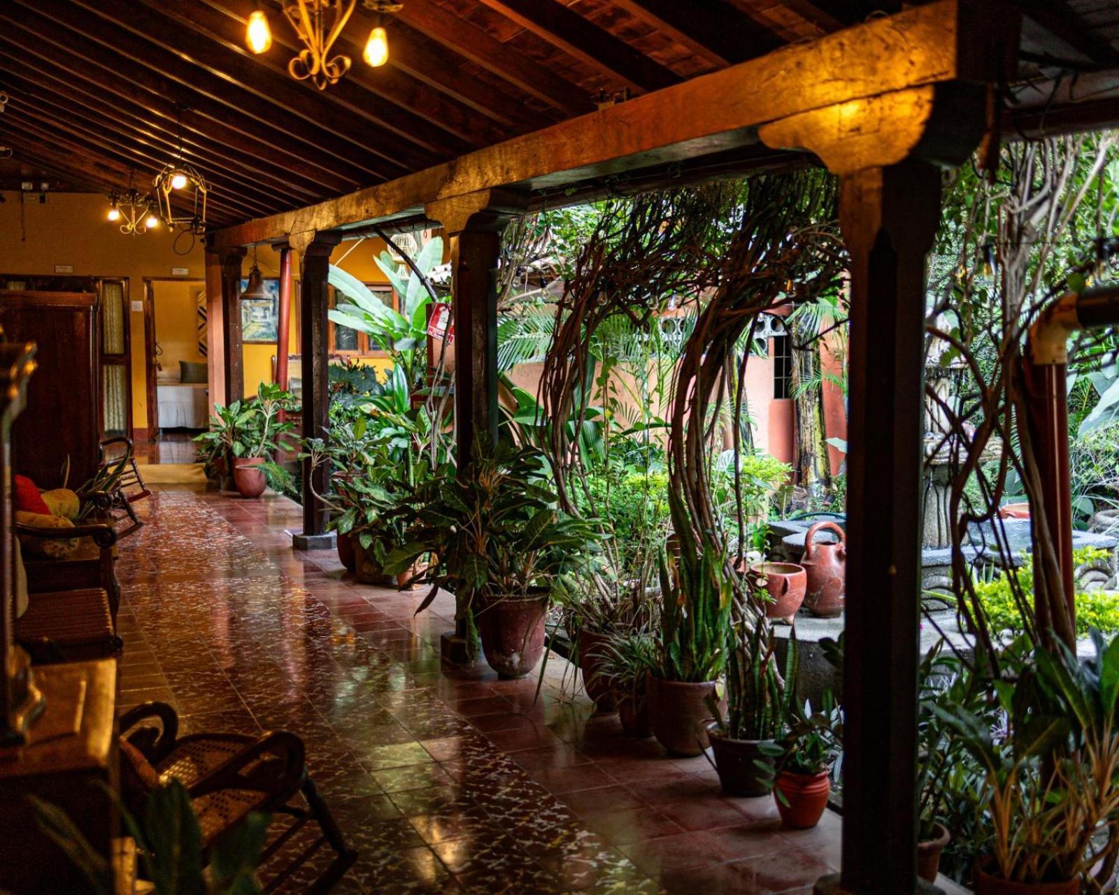 Hostal Fuente Castalia, B Y B León Buitenkant foto
